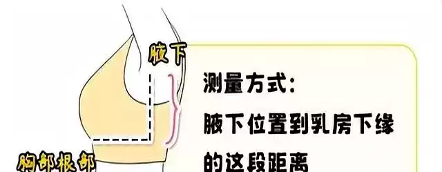 胸小女生穿衣显胖原因大揭秘：体型细节与穿搭解决方案