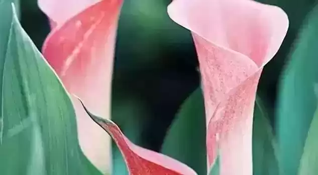 颜色穿衣搭配终极秘籍：从色盲小白到配色高手