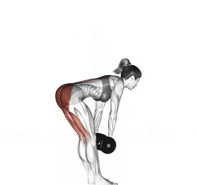 身材壮的男生穿衣搭配与七大王牌健身动作全攻略