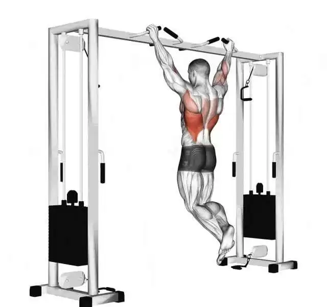 身材壮的男生穿衣搭配与七大王牌健身动作全攻略