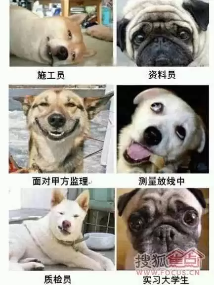 穿衣搭配解说搞笑 女生眼中,男生最土的4种穿法,网友:过于真实了