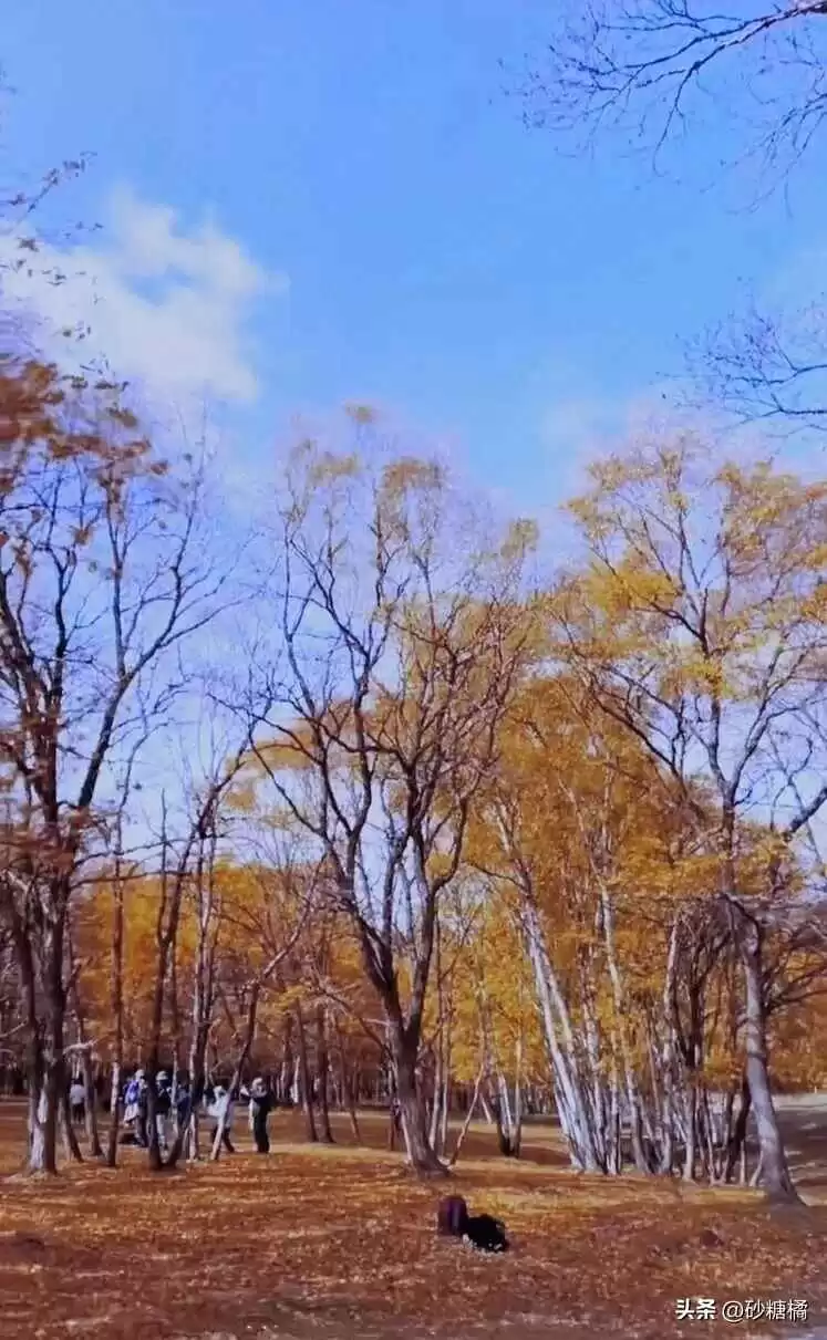 9月旅游穿衣搭配指南:独享秋意新体验!6个早秋旅行地推荐,避开人潮赏最美秋色