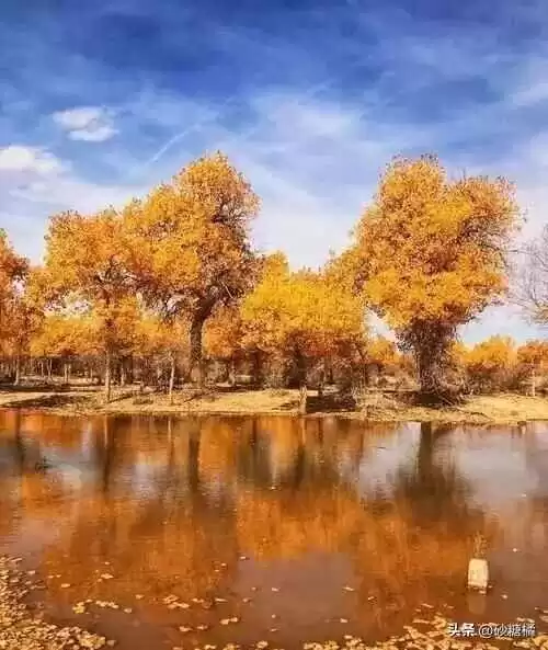 9月旅游穿衣搭配指南:独享秋意新体验!6个早秋旅行地推荐,避开人潮赏最美秋色