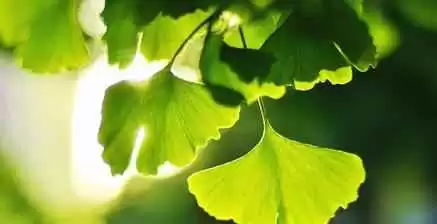 00后女孩子穿衣搭配：青涩少女的青春魅力