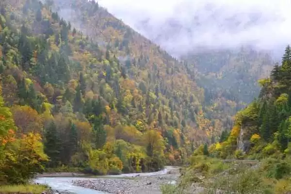 水墨染林,湖光入画:邂逅中式水彩湖林的静谧之美 水墨染林,湖光入画:邂逅中式水彩湖林的静谧之美