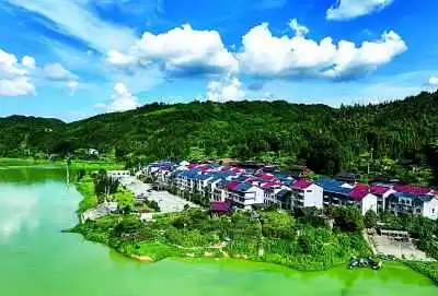 这片绿，不只是底色更是生活