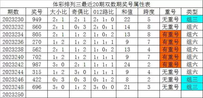 250是什么码深度解读与实用应对技巧