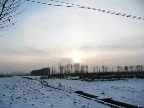 冬日调色盘 解锁寒冬的色彩情绪价值 冬日调色盘 解锁寒冬的色彩情绪价值