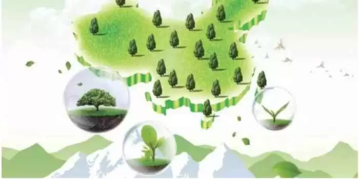 寻找绿色的绝配 让你的家和穿搭更有生命力