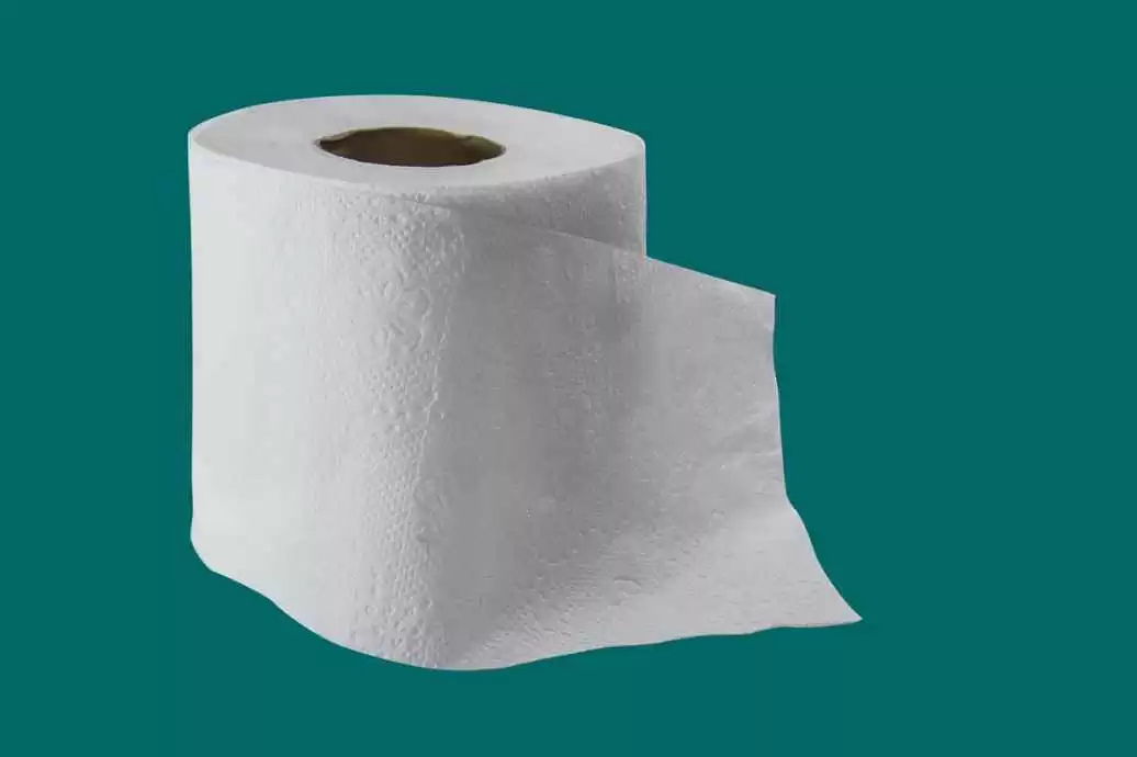 探秘布布多重宇宙：从指尖潮流到心灵密语的跨越