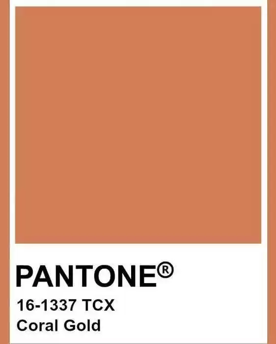 显高级的颜色搭配秘籍让你气质翻倍