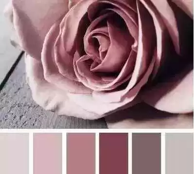 橡皮粉是什么颜色全知道 橡皮粉是什么颜色全知道