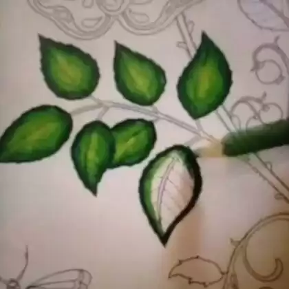 给花园选对色彩 让你的小天地美得不像话