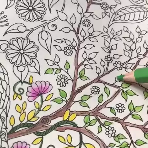 给花园选对色彩 让你的小天地美得不像话