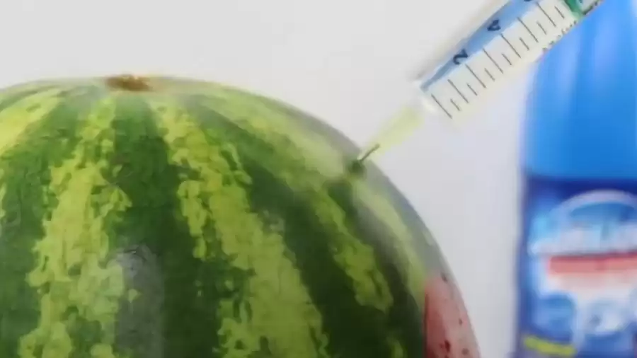 西瓜红让你一眼心动的夏日颜色秘密