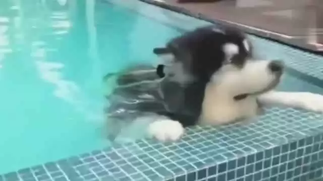 夏日居家整理术打造视觉与体感双重凉爽