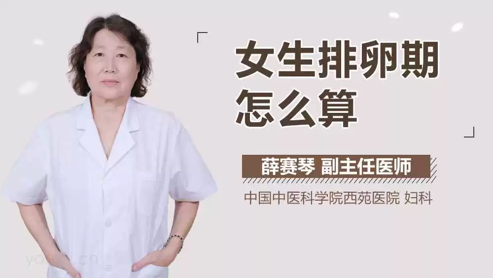 宝藏穿搭攻略 给120斤160cm姐妹的尺码选择与显瘦秘籍 宝藏穿搭攻略 给120斤160cm姐妹的尺码选择与显瘦秘籍