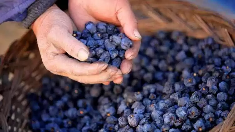 寒冬捞金指南 今年冬天最火爆的生意都在这儿了