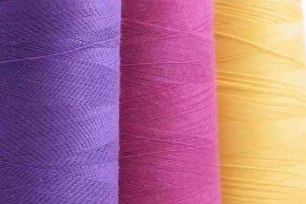 珊瑚绒是啥子哟 冬天里那朵暖fufu的云