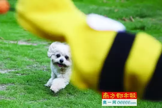 聊聊酷儿到底是啥意思