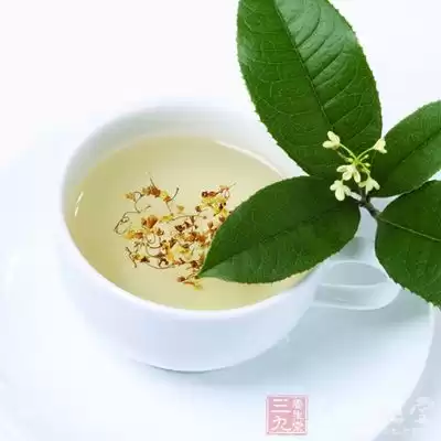 薄荷搭配全攻略 解锁清凉生活的小秘密