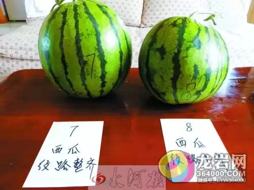 西瓜颜色大揭秘不止红色黄色这么简单