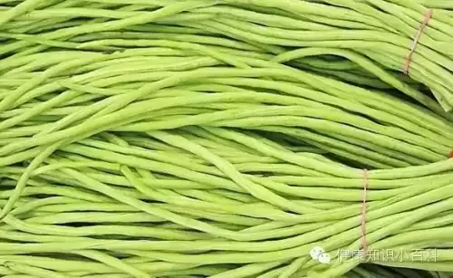 豆什么网：俺的生活因它而亮堂起来